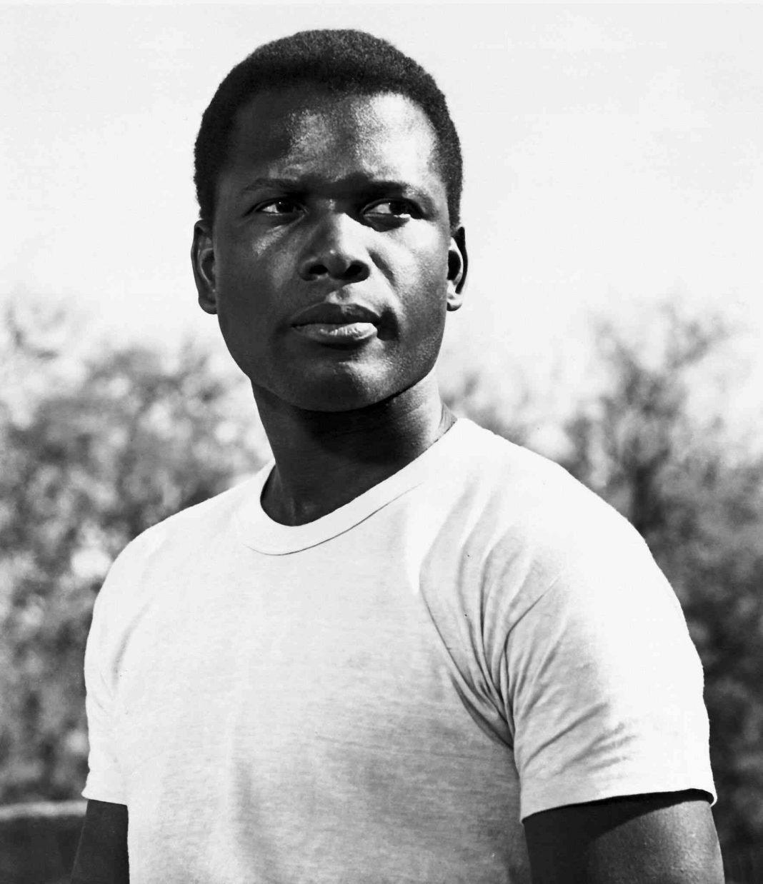 Sidney Poitier Was the Star We Desperately Needed Him to Be (1)