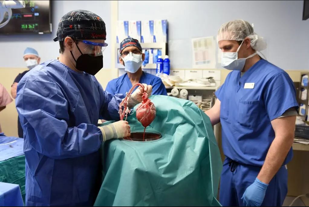 Patient in Groundbreaking Heart Transplant Dies