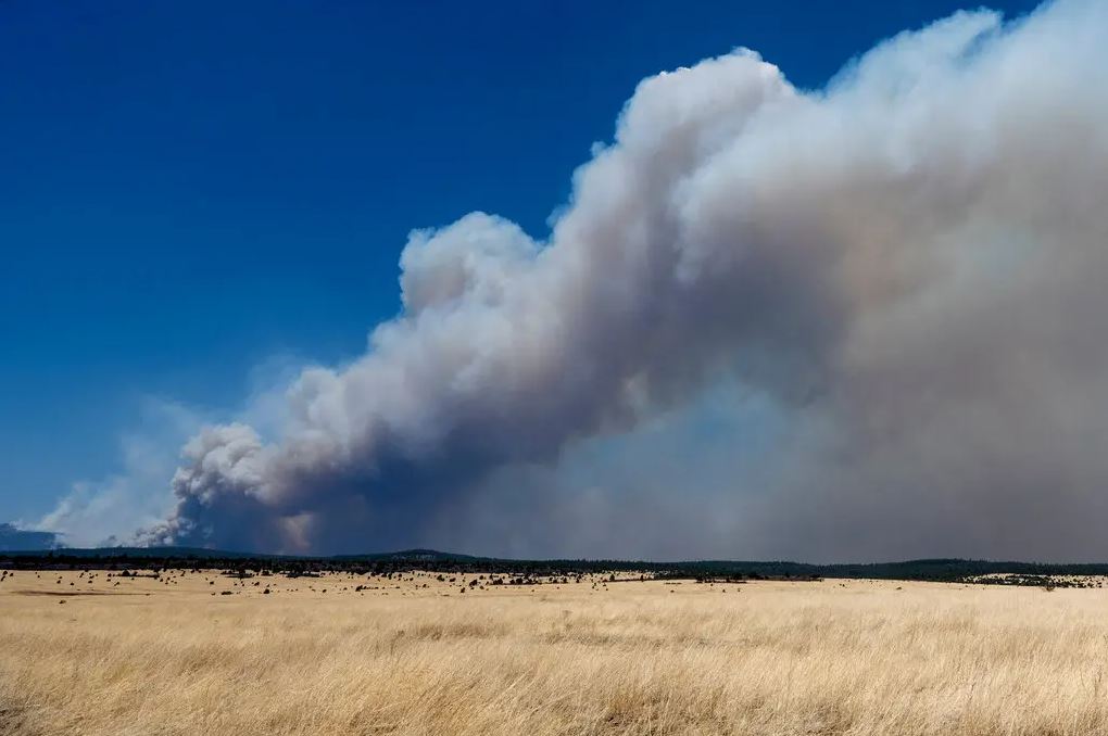 Strong Winds Keep Fueling New Mexico Wildfire