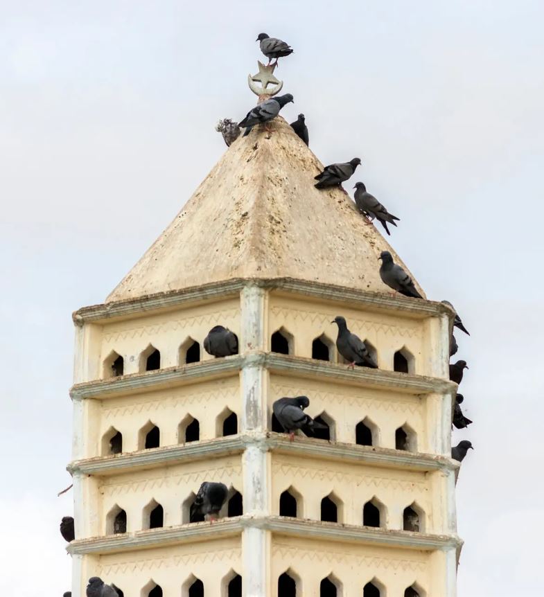 Documenting India’s Distinctive Birdhouses