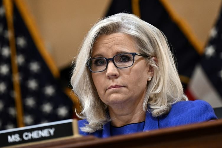 For the time being, Liz Cheney is willing to put her career on hold in order to spearhead anti-Trump Republican efforts
