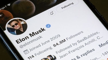After receiving complaints from a whistleblower, Elon Musk wants the trial against Twitter to be postponed