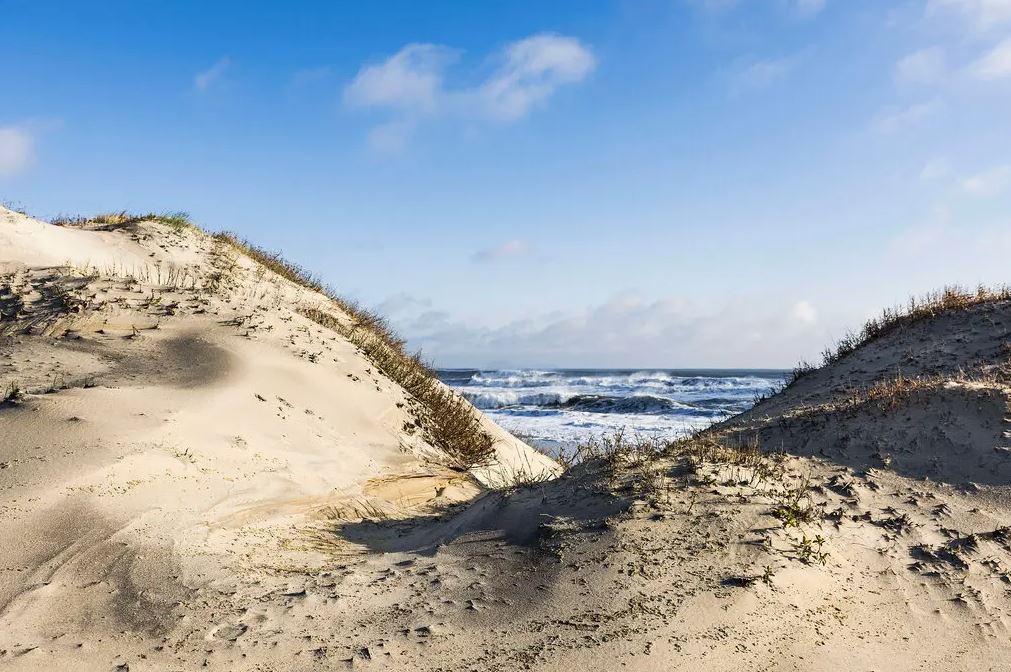 Virginia Teenager Dies After He Is Buried in Sand From Dune Collapse