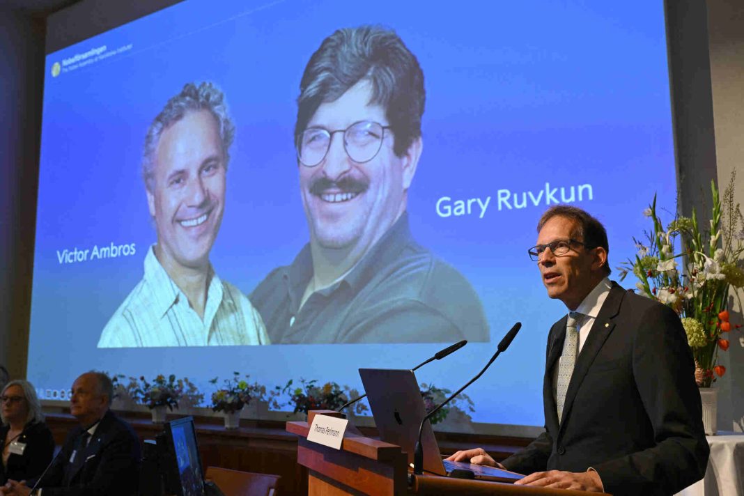 Discovery in Tiny Worm Leads to Nobel Prize in Physiology or Medicine for 2 Scientists (1)